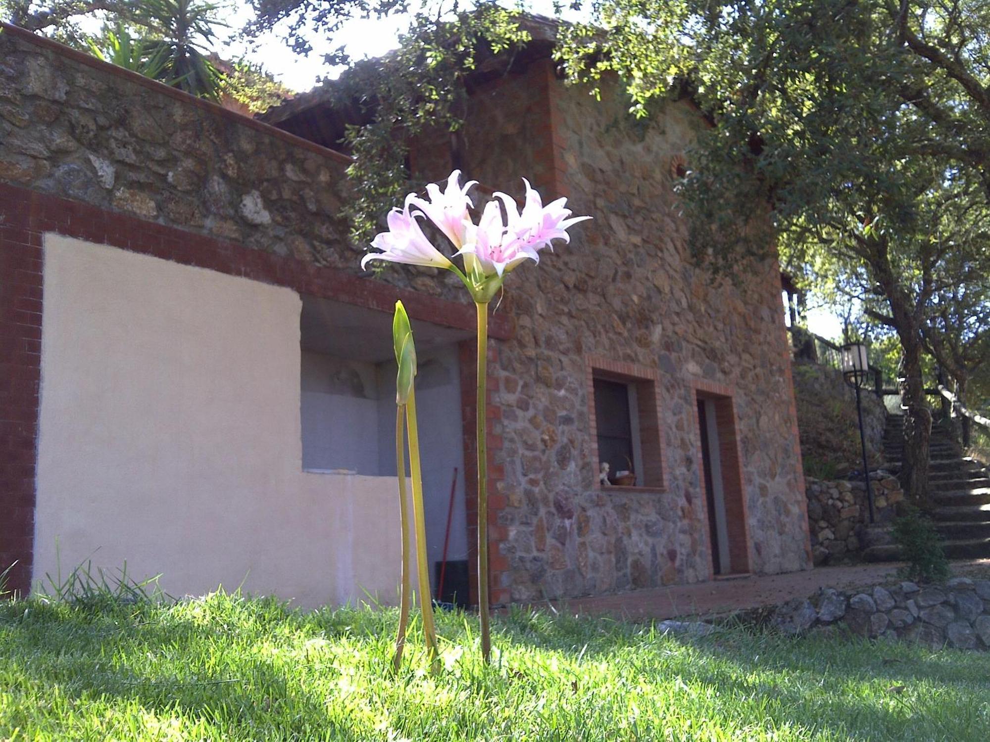 La Quercia Guest House Arbus Exterior foto