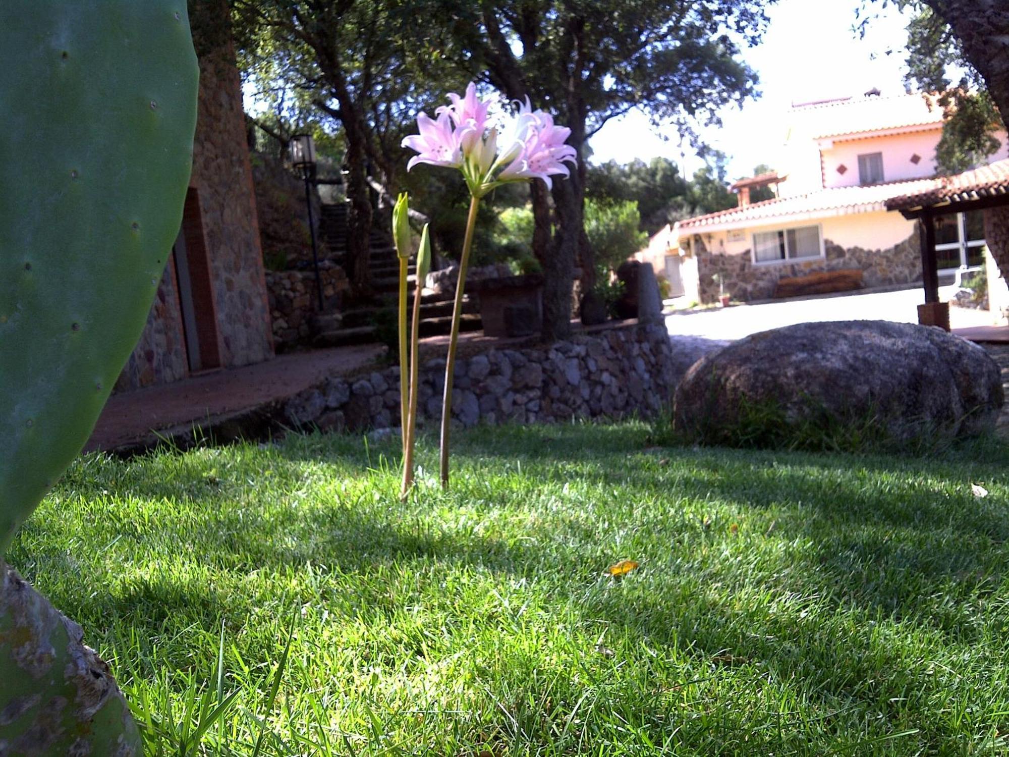 La Quercia Guest House Arbus Exterior foto